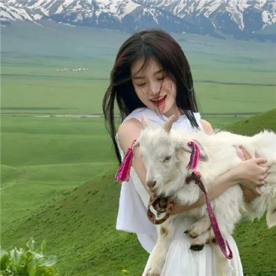 绘图师的合约