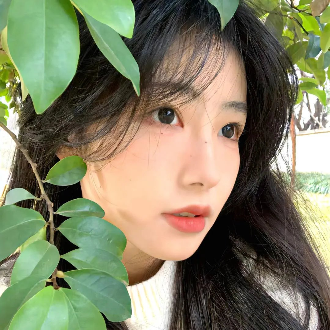 七个秘书 特别篇